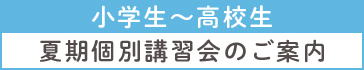 小学生～高校生　夏期個別講習会